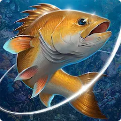 تحميل لعبة Fishing Hook مهكرة للأندرويد مجاناً 2025 MOD APK